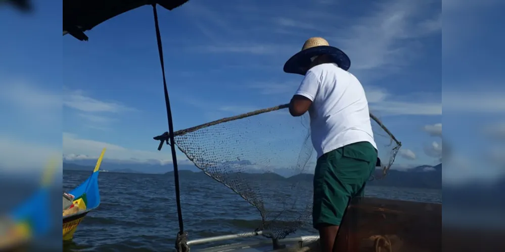 Pesca volta a estar liberada no Paraná a partir desta sexta-feira