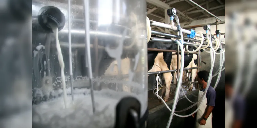 Produção leiteira supera 3 milhões de litros por dia