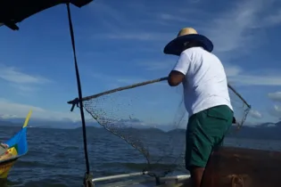 Pesca volta a estar liberada no Paraná a partir desta sexta-feira