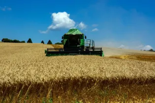 O Paraná lidera a produção nacional de trigo e de cevada, além de ser segundo em soja e milho