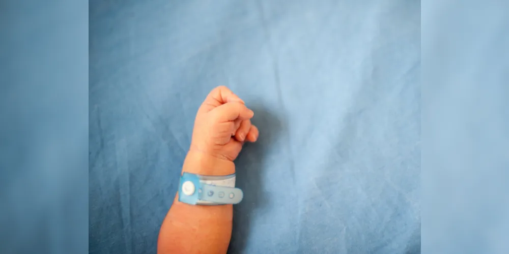 Imagem ilustrativa da imagem Polícia apura troca de bebês falecidos em hospital de PG