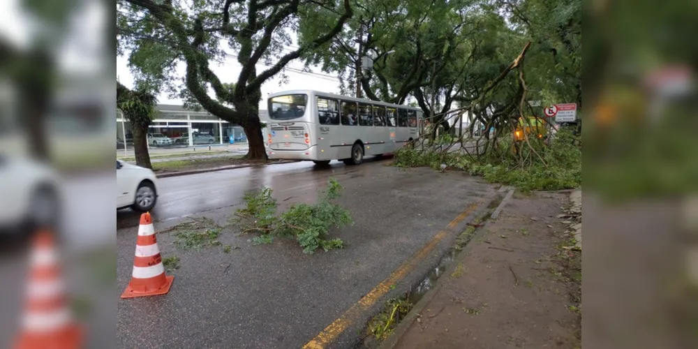 Na Avenida Getúlio Bargas, uma faixa da pista foi interditada com a queda de uma parte de um galho de árvore, na  região do bairro Água Verde.