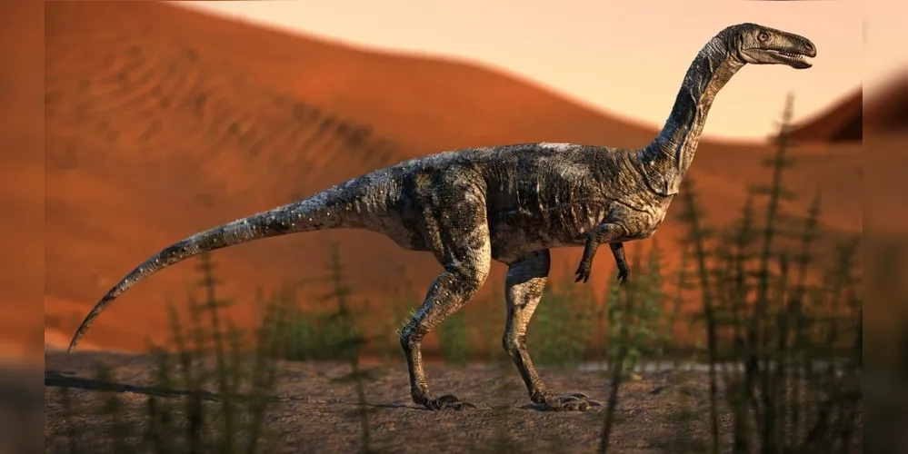 Vespersaurus paranaensis, de pequeno porte, era predador que vivia há 85 milhões de anos