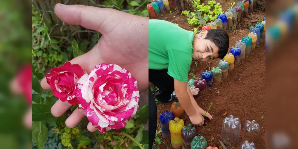 JOGO DAS FLORES NOS VASOS Através desta atividade o aluno irá d