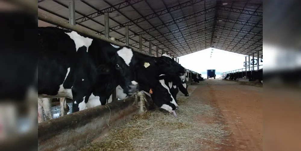 Cooperativa negociou mais de 9 milhões de litros de leite em junho de 2019. Crescimento é de 12% em relação ao mesmo período em 2018