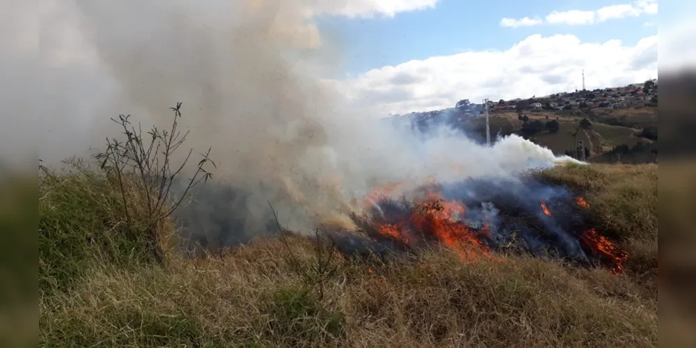 Imagem ilustrativa da imagem Carro pega fogo após incêndio ambiental 