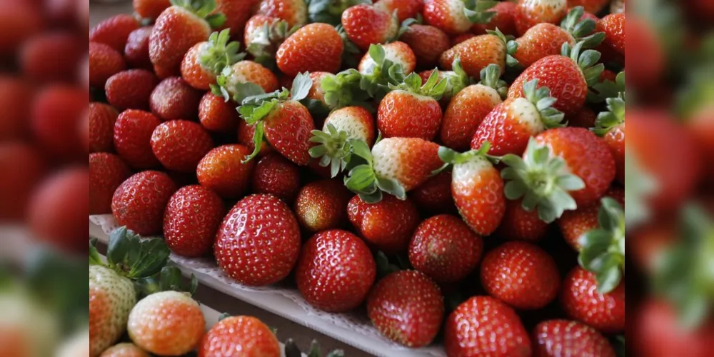 Atualmente o Paraná é o sexto estado do Brasil que mais produz frutas