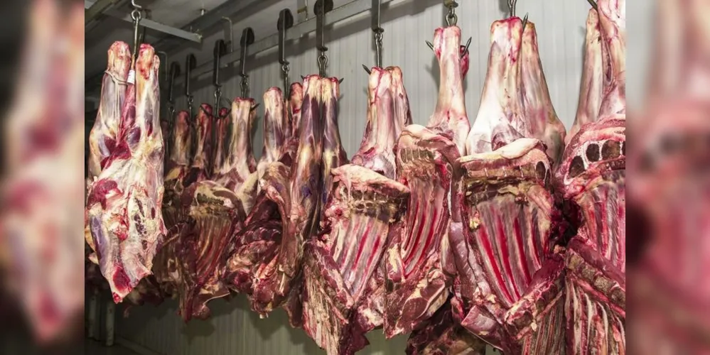 Mais frigoríficos brasileiros vão exportar carnes para a China