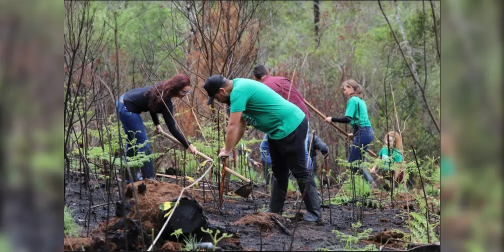 Estudantes do curso de engenharia florestal participaram de plantio de mudas em área de preservação