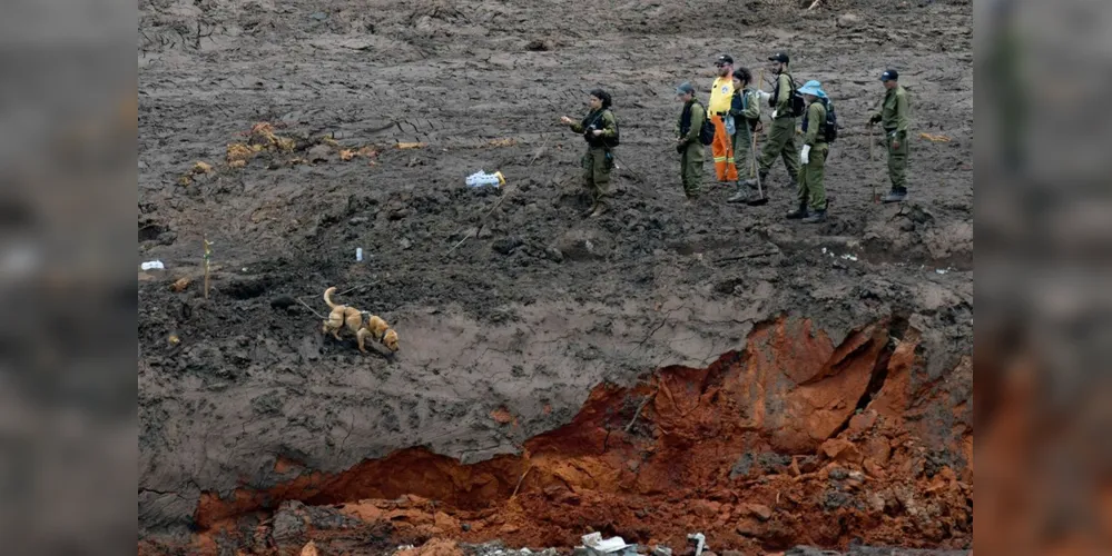 Imagem ilustrativa da imagem Bombeiros encontram mais um corpo em Brumadinho