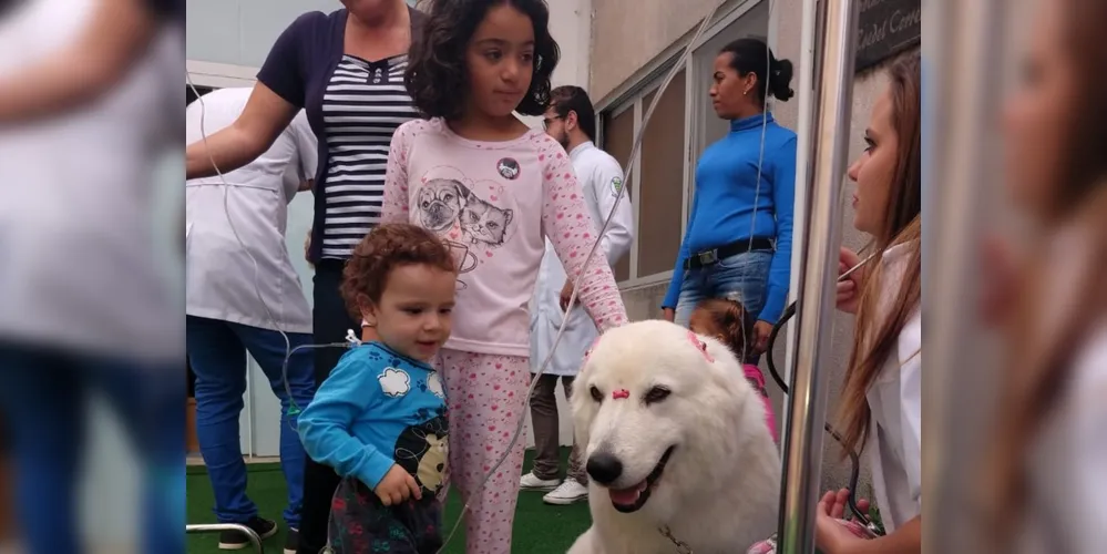 Nesta terça-feira (08), a coelhinha Catarina e a cachorra Kaila, foram às atrações do Hospital Municipal João Vargas de Oliveira. 