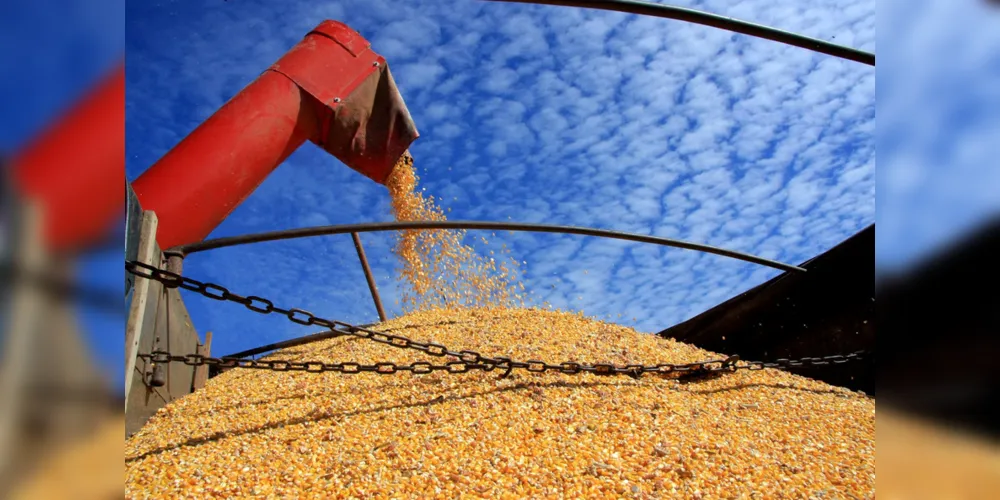 Entre os produtos que devem puxar essa alta está o milho, uma das três principais lavouras de grãos do país