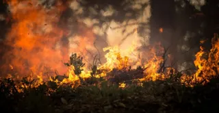 Amazonas vive o agosto mais seco dos últimos 14 anos e já registrou 5.452 focos de incêndio em 2019