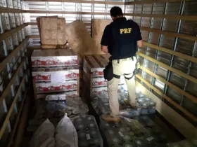 Imagem ilustrativa da imagem PRF apreende caminhão que transportava comida e tinta