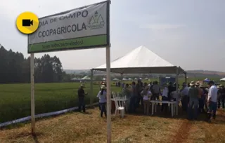 Imagem ilustrativa da imagem Coopagrícola reúne produtores rurais em evento especializado
