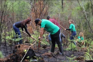 Estudantes do curso de engenharia florestal participaram de plantio de mudas em área de preservação