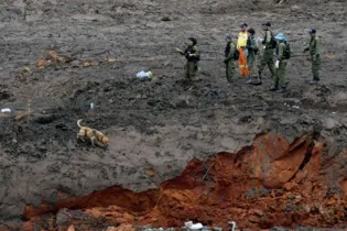 Imagem ilustrativa da imagem Bombeiros encontram mais um corpo em Brumadinho