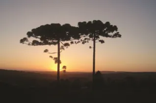 Pôr do sol nos Campos Gerais em época de primavera