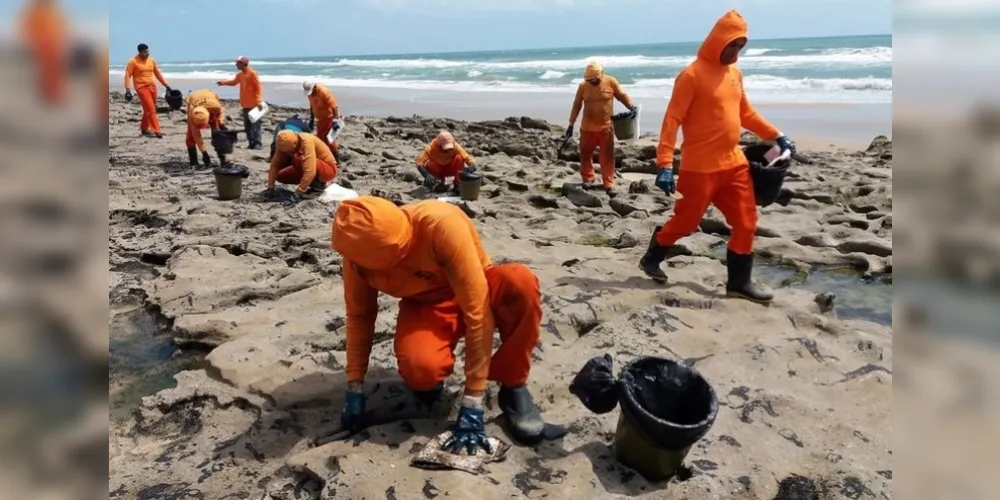 Mais de 525 toneladas de resíduos foram retirados de praias com óleo
