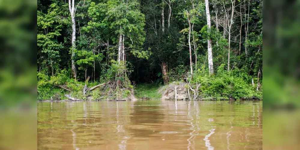 A Amazônia Legal corresponde a 59% do território brasileiro e engloba a totalidade de oito estados (Acre, Amapá, Amazonas, Mato Grosso, Pará, Rondônia, Roraima e Tocantins), além de parte do Maranhão