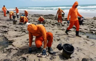 Mais de 525 toneladas de resíduos foram retirados de praias com óleo