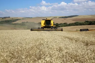 É quase um milhão de toneladas de cereais a mais produzidos no Estado, segundo levantamento do Departamento de Economia Rural (Deral), da Secretaria de Estado da Agricultura e Abastecimento, relativo ao mês de outubro

