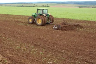Imagem ilustrativa da imagem Paraná prorroga prazo para o plantio da soja