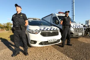 Imagem ilustrativa da imagem Guardas municipais impedem furto no Centro de PG