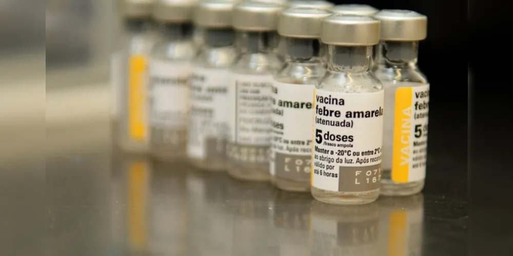 O boletim não registra casos de febre amarela em humanos. O Paraná segue em alerta com 15 casos em investigação.