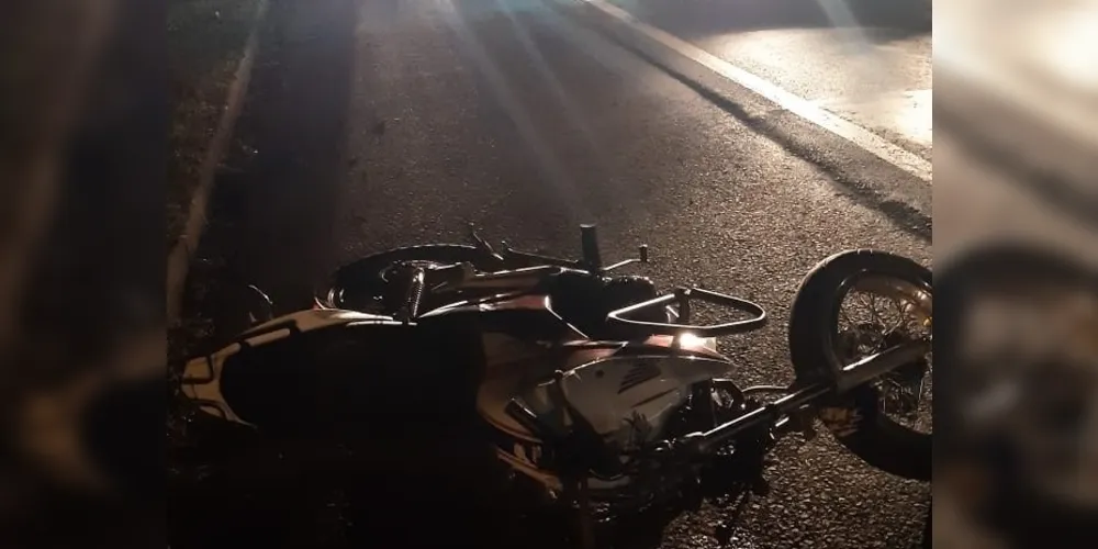 Imagem ilustrativa da imagem Motociclista morre após colidir com cavalo na BR-376