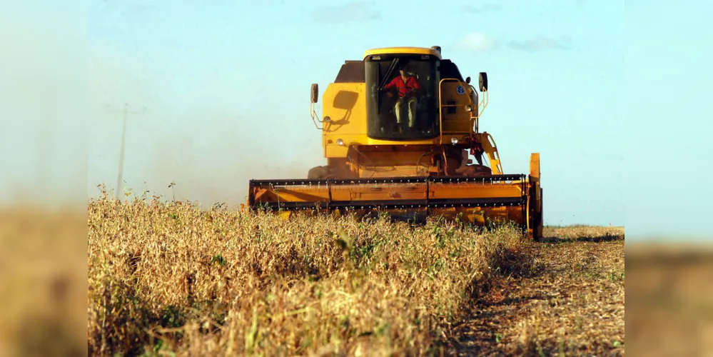 Condições climáticas favorecem as lavouras de grãos nas principais regiões produtoras do Brasil