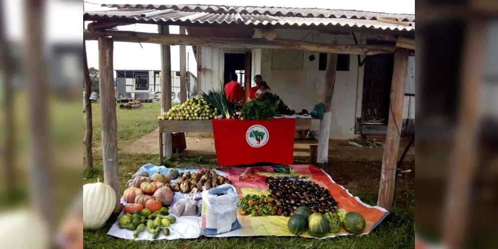 Os alimentos são resultados do cultivo totalmente orgânico nos acampamentos Maria Rosa do Contestado e Padre Roque Zimmermann, em Castro, e pré-assentamento Emiliano Zapata, em Ponta Grossa.