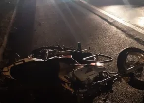 Imagem ilustrativa da imagem Motociclista morre após colidir com cavalo na BR-376