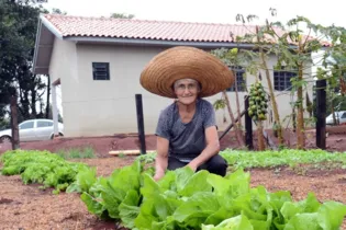 Produtores agrícolas paranaenses que desejam construir suas casas têm um novo incentivo do poder público.