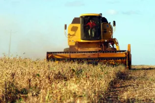 Condições climáticas favorecem as lavouras de grãos nas principais regiões produtoras do Brasil