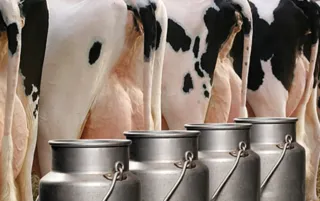 Levantamento divulgado pelo Procon SC indica que os preços de embalagens de leite longa vida das três marcas dispararam