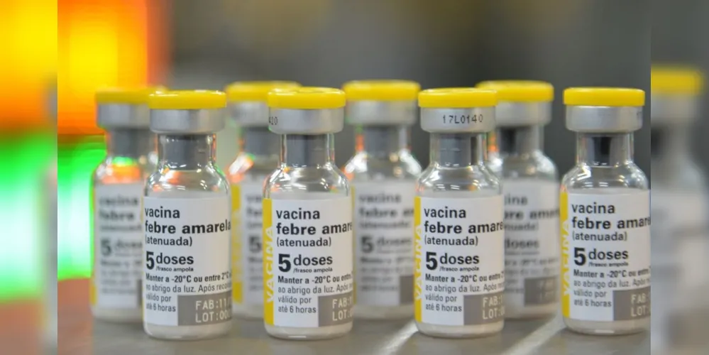 De janeiro até agora foram aplicadas cerca de 270 mil doses da vacina no Paraná. Vírus já circula no Estado