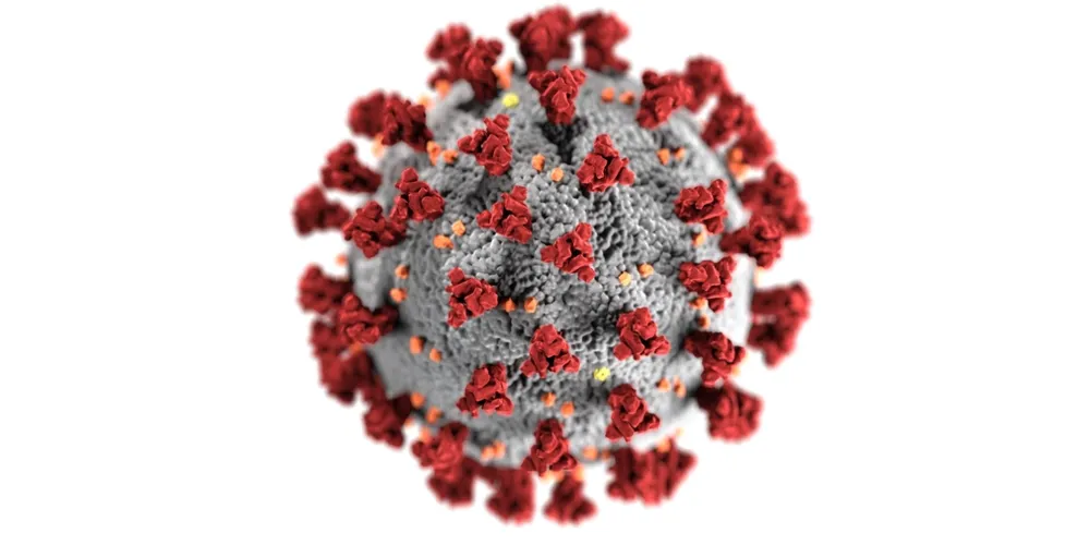 As Américas são o epicentro mundial da pandemia de coronavírus atualmente, e a cifra da região como um todo pode quase triplicar e atingir 637 mil até o dia 1º de outubro