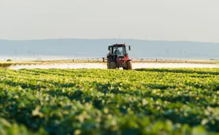 Empresa mantém ferramenta que auxilia agricultores no controle sustentável