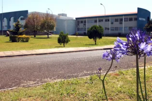 A Escola de Gestão do Paraná oferta 39 vagas remanescentes para a pós-graduação na modalidade de ensino a distância. 