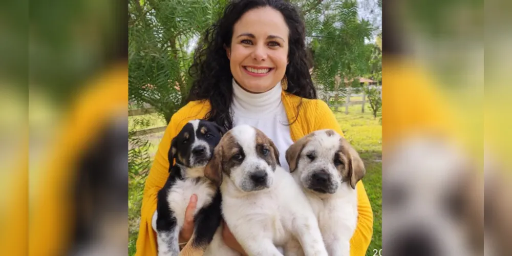 A Médica Veterinária e Diretora de Relações Institucionais das Faculdades Cescage, Prof. Dra. Érika Zanoni Fagundes Cunha, lançou sete manuais sobre comportamentos de animais e seus tutores.