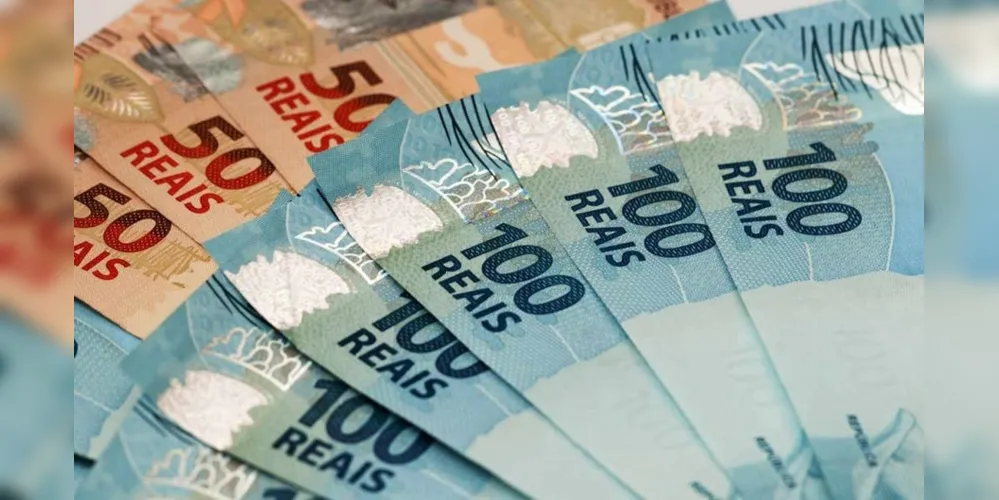 O Banco Central informou nesta quarta-feira (29) que o Conselho Monetário Nacional (CMN) aprovou o lançamento da cédula de R$ 200, que terá como personagem o lobo-guará.