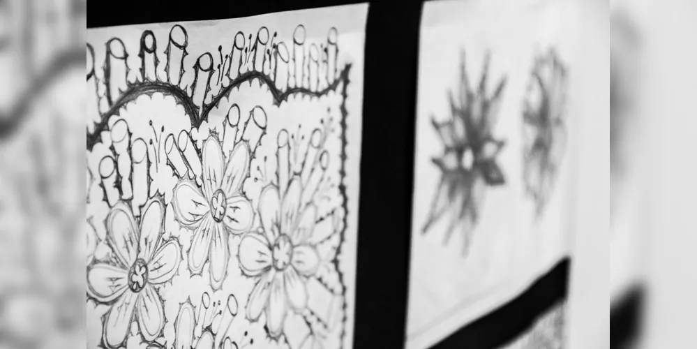 A artista desenha flores desde os 12 anos e decidiu mostrar a arte para a população de Irati