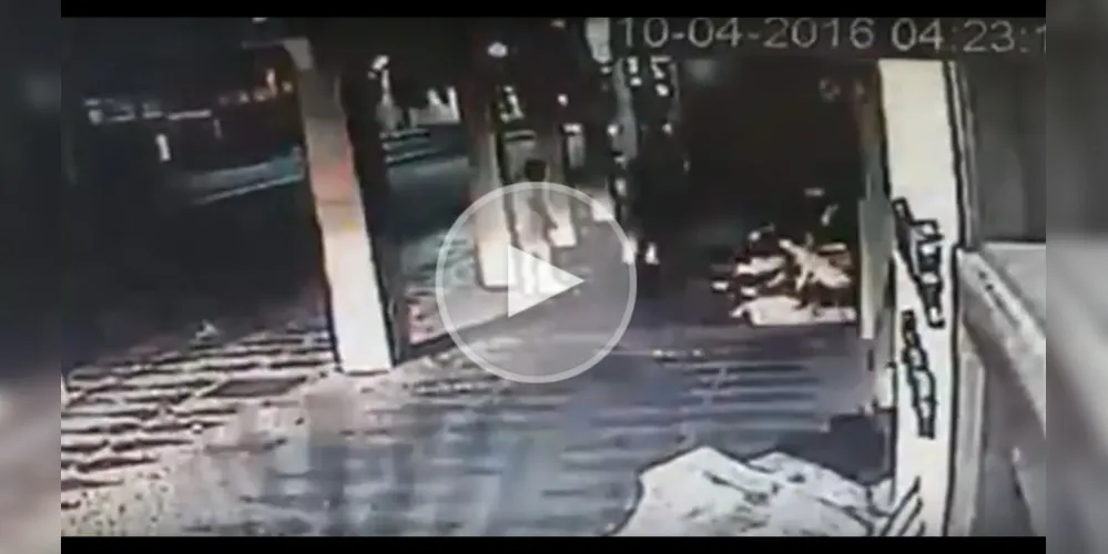 Vídeo mostra momento exato em que policial militar atira contra a cadela
