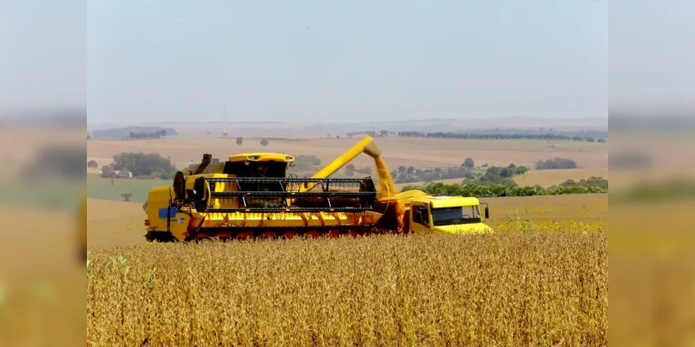 Segundo o Deral, cerca de 98% da produção estimada será soja e milho