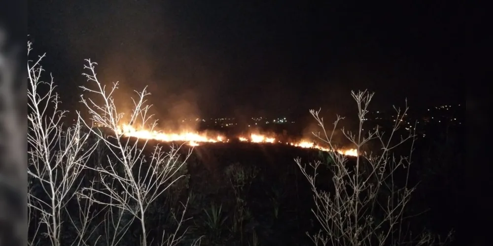 Fogo destruiu vegetação próxima ao Lago de Olarias e deixou gestor municipal revoltado