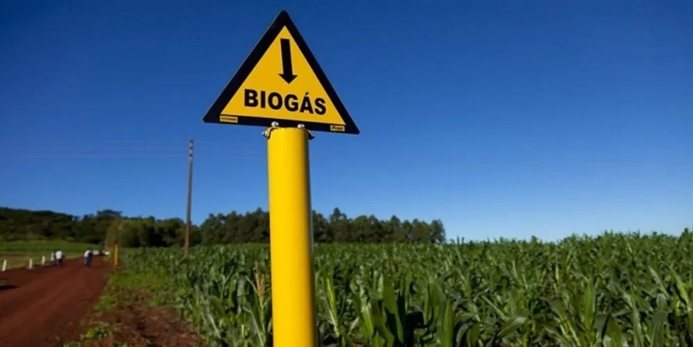 Imagem ilustrativa da imagem DataSebrae Biogás amplia o acesso à energia renovável