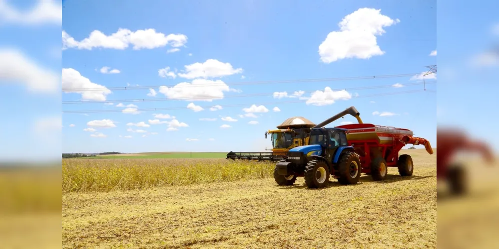 O Paraná começa a plantar a safra de grãos de verão 2020/21 mas a continuidade do clima seco, que se configurou na maior estiagem dos últimos 100 anos, segundo o Simepar, é a maior preocupação dos produtores.