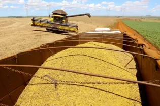 Safra de soja foi recorde no Paraná, com mais de 20,5 milhões de toneladas colhidas. Valores altos de venda ajudaram  na elevação do VBP