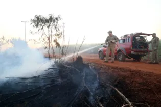 Imagem ilustrativa da imagem Estiagem no Paraná aumenta risco de incêndios ambientais